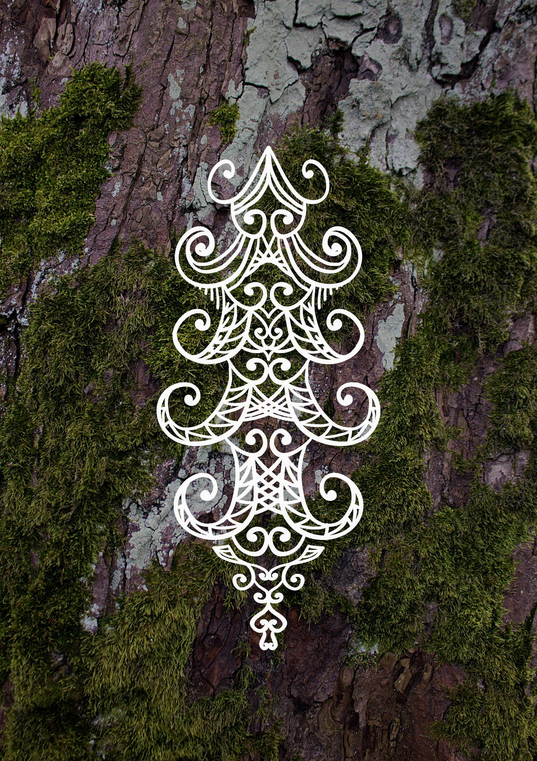 Send love to forests and trees